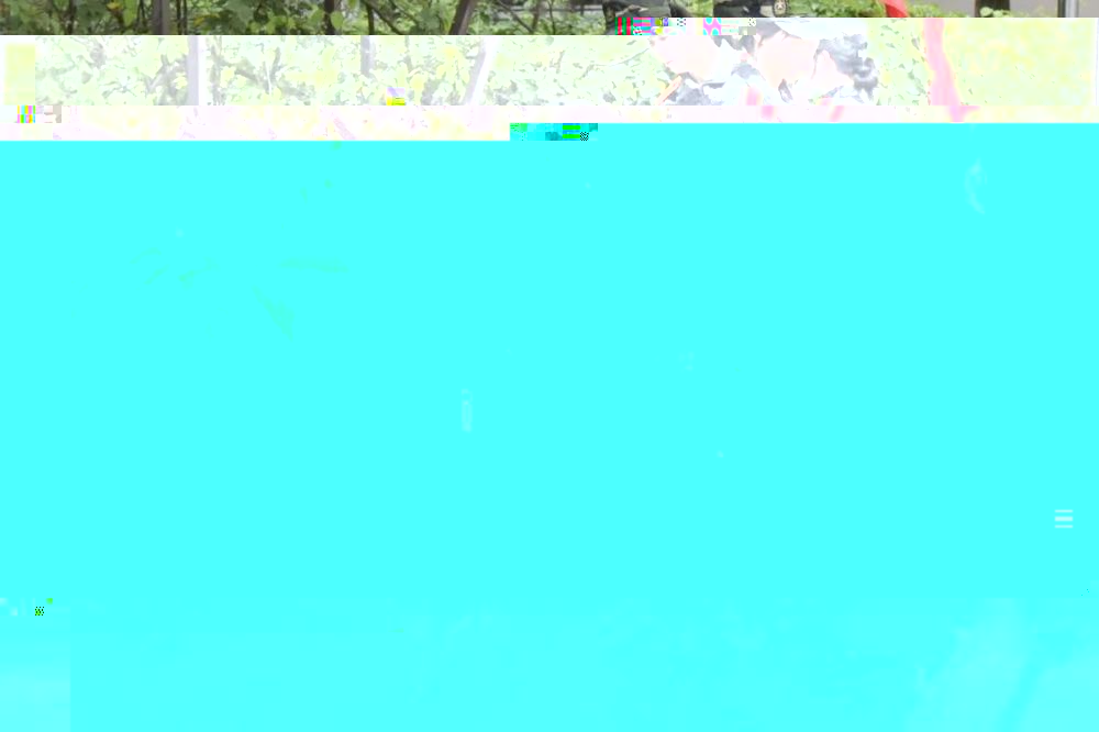 64aff93a31994d72b8a157065364928f.jpg